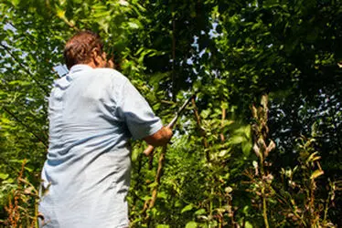 4LQxmWGkljMq