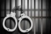 دستگیری اعضای دو باند کلاهبرداری حرفه‌ای