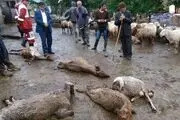 سیل با اقتصاد چه می‌کند؟