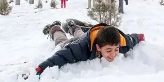 تلاش محیط زیست برای اجرای طرح تعطیلات زمستانه مدارس