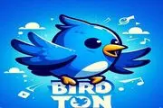 کارت‌های برد (Bird) فردا پنجشنبه اول آذر