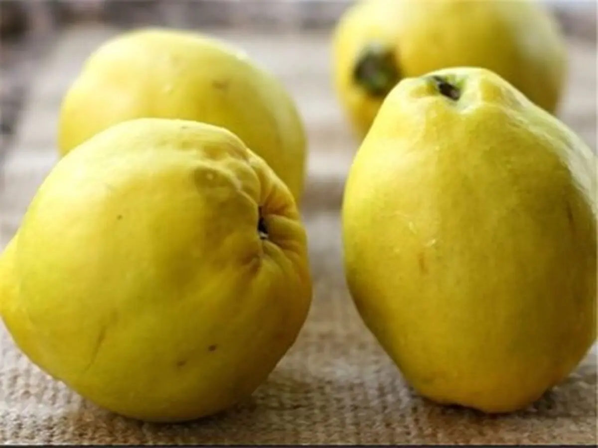 چایی برای کاهش اضطراب شما!