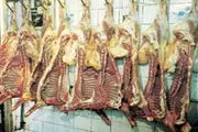 واکاوی و چرایی افزایش قیمت گوشت درکشور!