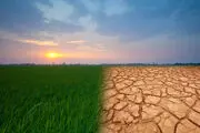 تشریح جزئیات سند راهبرد ملی تغییر اقلیم