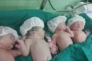تولد چهارقلوها در قم 