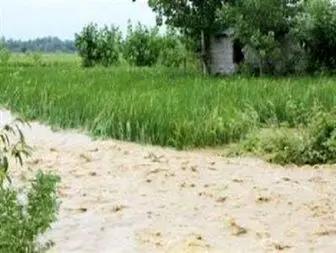 خسارت ۲۸۵ میلیارد ریالی به بخش کشاورزی خراسان شمالی