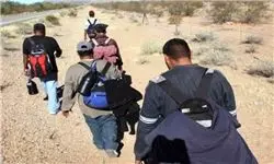 ۵۷ مهاجر ربوده شده در مکزیک نجات یافتند
