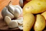  در مصرف سیر و سیب زمینی این نکات را جدی بگیرید!