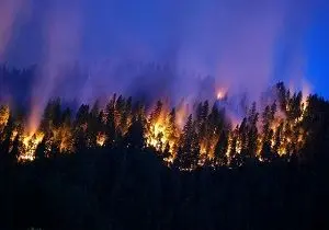 سال 2017 ،سال بیشترین آتش‌سوزی زمین
