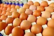 اعلام اسامی تخم مرغ های غیربهداشتی