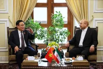لزوم نقش‌آفرینی دیپلماسی پارلمانی ایران و ویتنام برای توسعه روابط