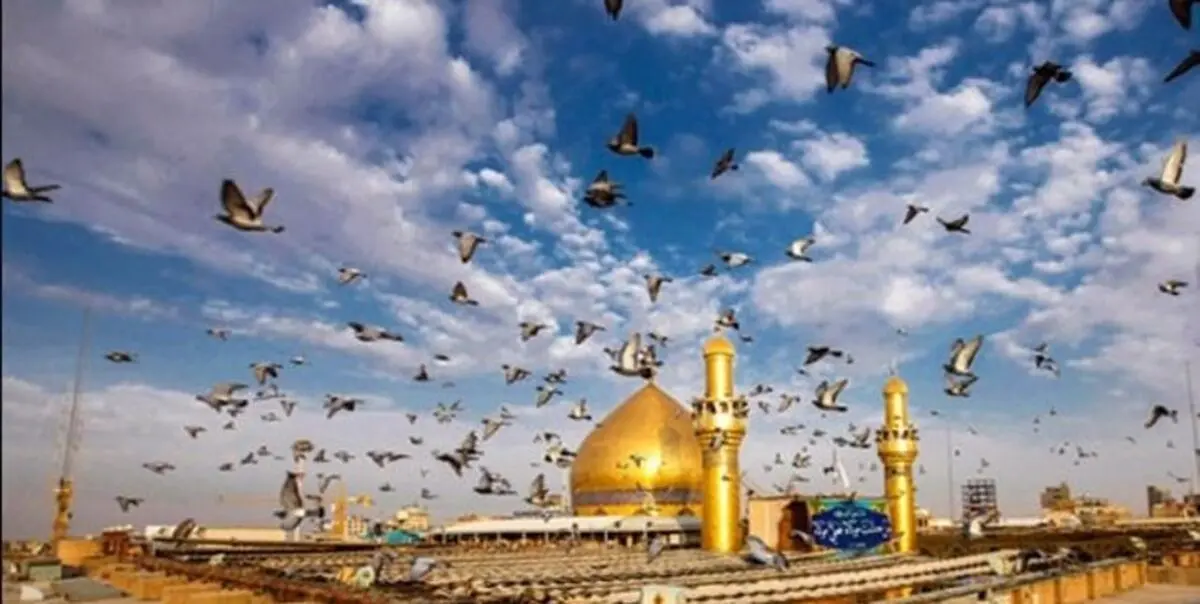 زائران یا حیدر گویان از نجف تا کربلا