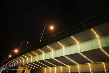 12305228_371