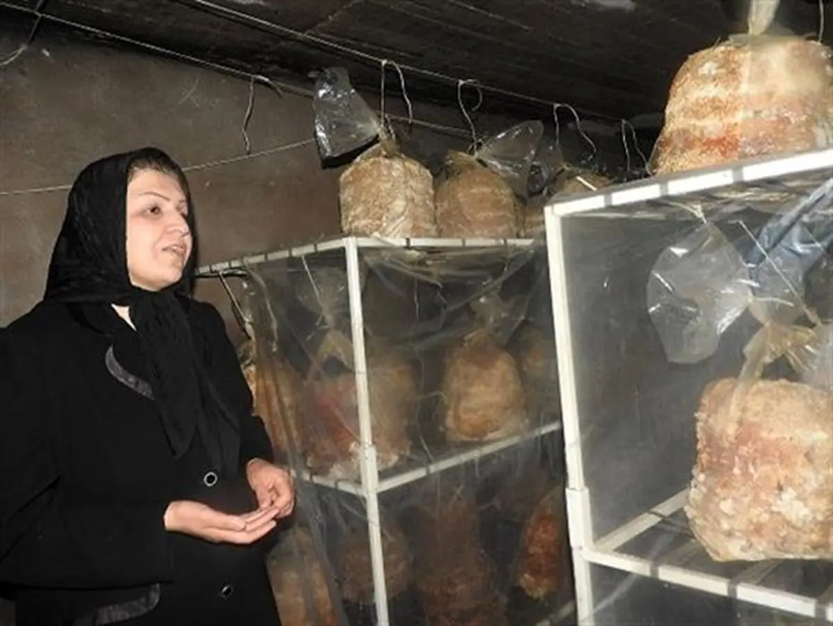 پرورش قارچ توسط بانوی ارومیه ای