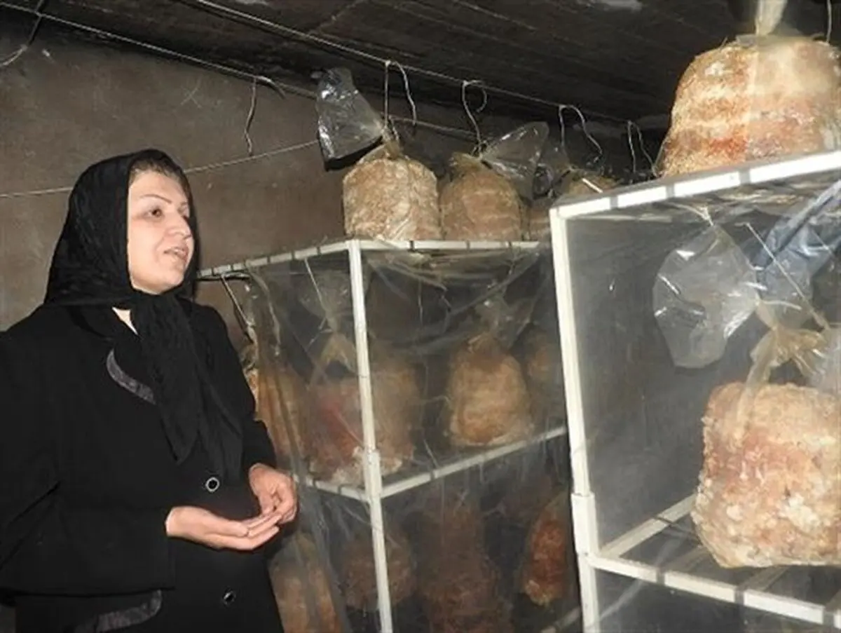 پرورش قارچ توسط بانوی ارومیه ای