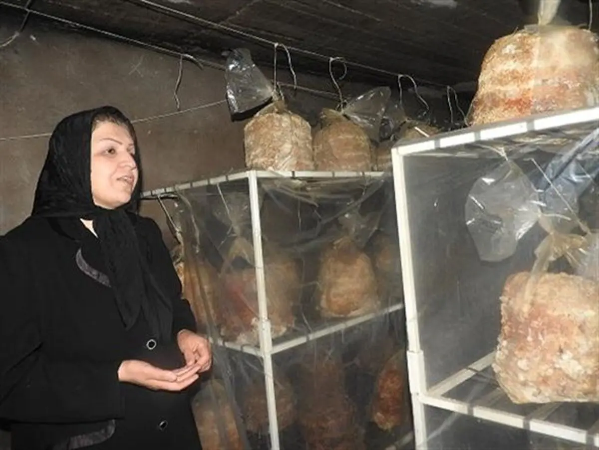 پرورش قارچ توسط بانوی ارومیه ای