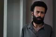حسام محمودی در جشنواره فیلم فجر