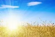 ترفند‌های طلایی برای اینکه از سفر و تفریح در تابستان لذت ببرید