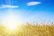 تمام فصل‌های سال در یک نگاه!