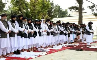 واکنش عجیب طالبان به هتک حرمت قرآن کریم در سوئد +فیلم