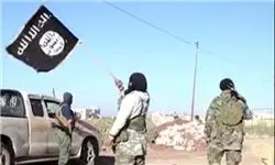 داعش ۷۰ عضو عشیره «الدلیم» را در تکریت ربود