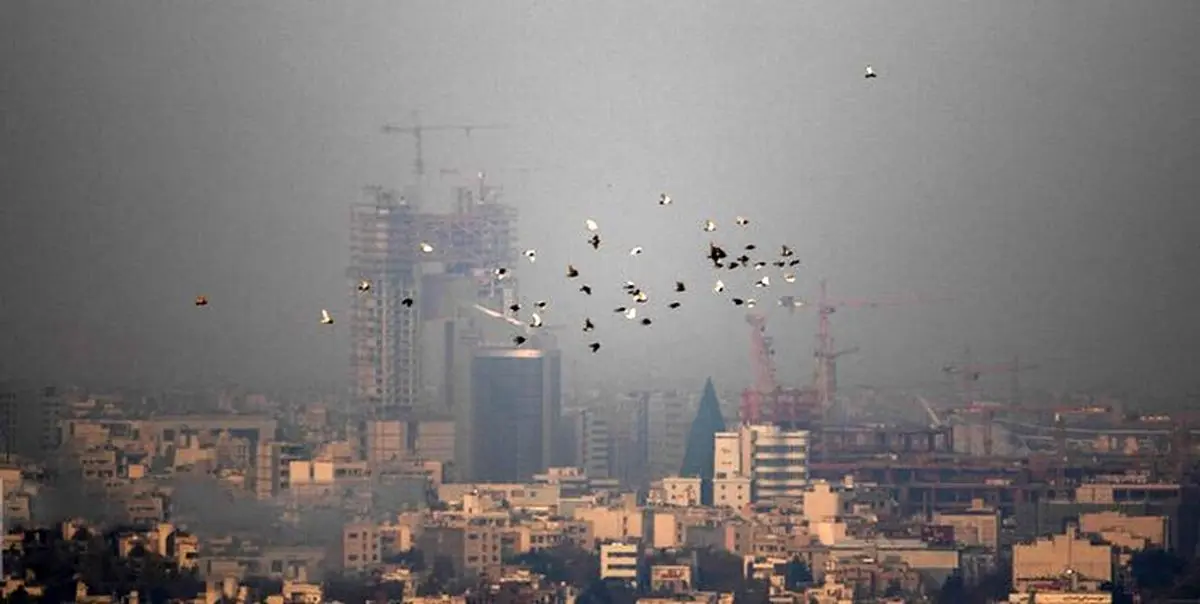 بارش برف و باران در این 15 استان