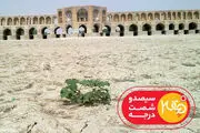 «۳۶۰ درجه» و بررسی توطئه‌هایی درباره کم آبی