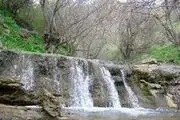 مردم بدون دغدغه از طبیعت بکر نقاط مجاز مرزی بازدید کنند