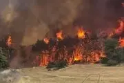 آتش به جان  منطقه صنعتی اسرائیل افتاد/فیلم