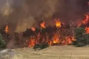 آتش به جان  منطقه صنعتی اسرائیل افتاد/فیلم