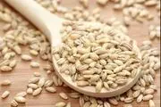 نقش جو در زنجیره غذایی
