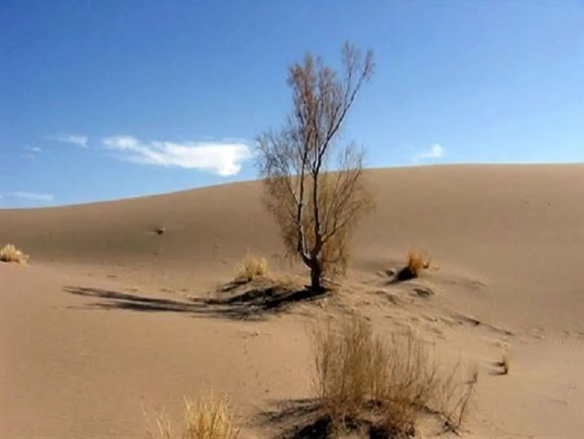 بیابان زایی چراغ خاموش در میان ریزگردهای البرز می تازد