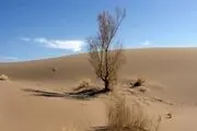 بیابان زایی چراغ خاموش در میان ریزگردهای البرز می تازد