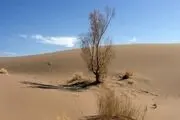 بیابان زایی چراغ خاموش در میان ریزگردهای البرز می تازد