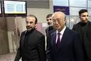 آمانو: گام‌های مهم ایران در زمینه راستی‌آزمایی