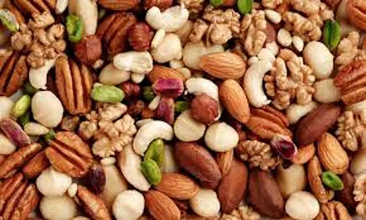 قیمت آجیل و خشکبار ۲۵ اردیبهشت ۱۴۰۳+ جدول