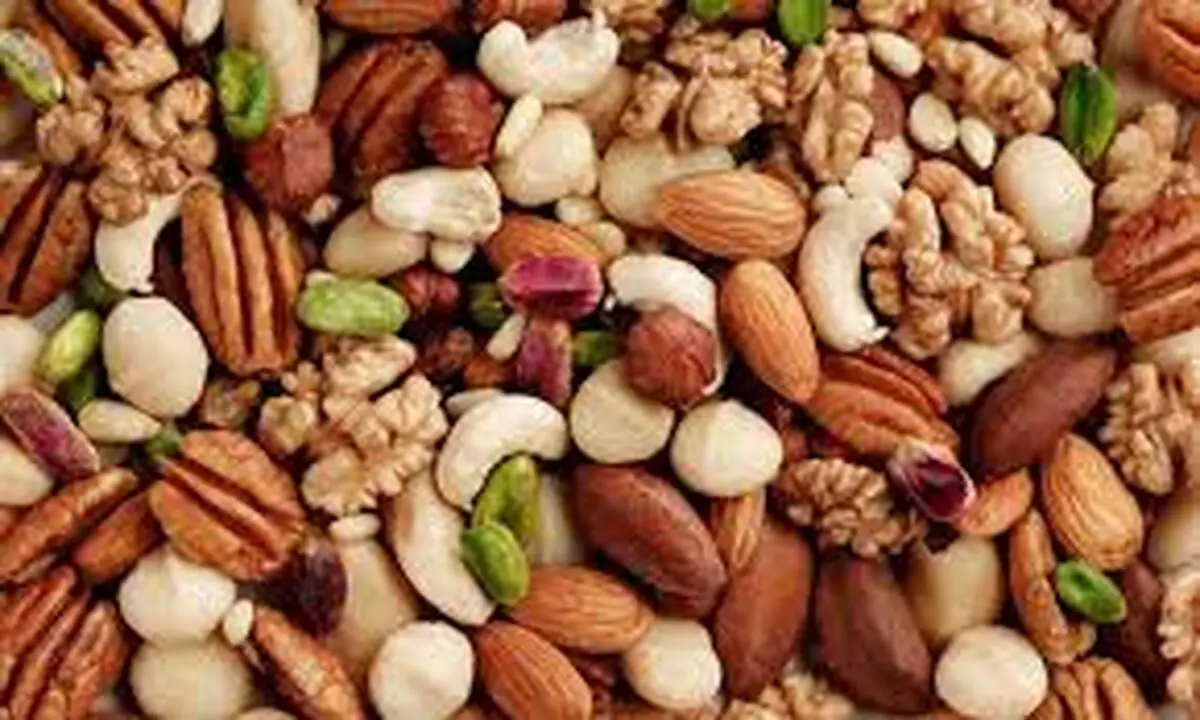 قیمت آجیل و خشکبار ۱۱ اردیبهشت ۱۴۰۳+ جدول

