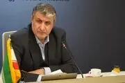 نشست اساتید با رئیس سازمان انرژی اتمی