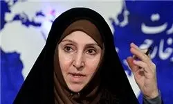 وزارت خارجه ارائه طرح جدید به ایران را تکذیب کرد