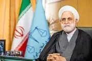 عزم قوه قضائیه برای حمایت از تولیدکنندگان و کارآفرینان
