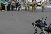 ربات‌های سگ‌نما وارد ارتش آمریکا شدند 