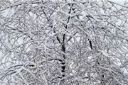 بارش 15 سانتی‌متری برف ارتفاعات کلاردشت را سفیدپوش کرد