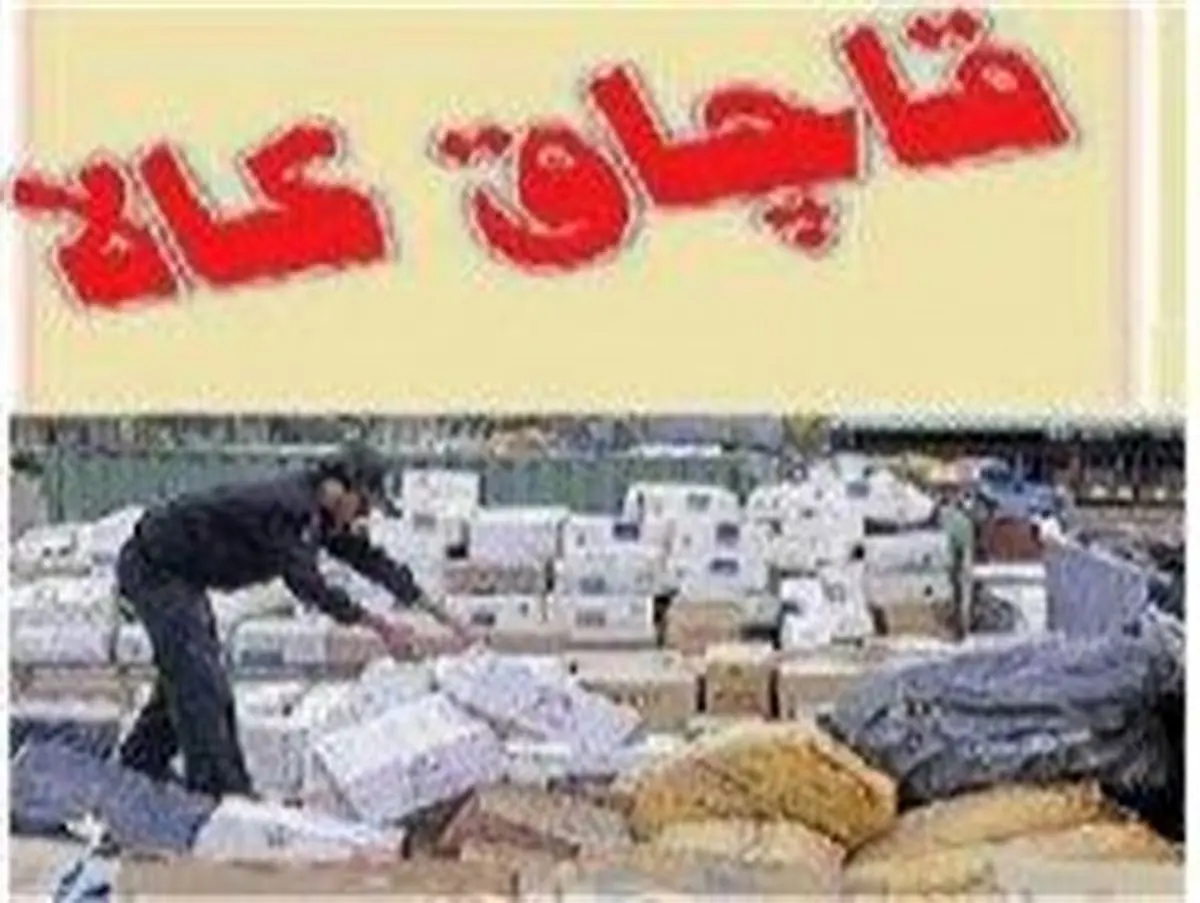 قاچاق ۹۰درصدی در مناطق تحت حمایت ترکان