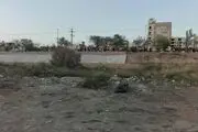 رودخانه خشکیده شیراز دوباره جان گرفت/ عکس