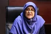 عیادت سخنگوی دولت از سفیر ایران در بیروت
