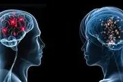 باورهای غلط درباره مغز انسان
