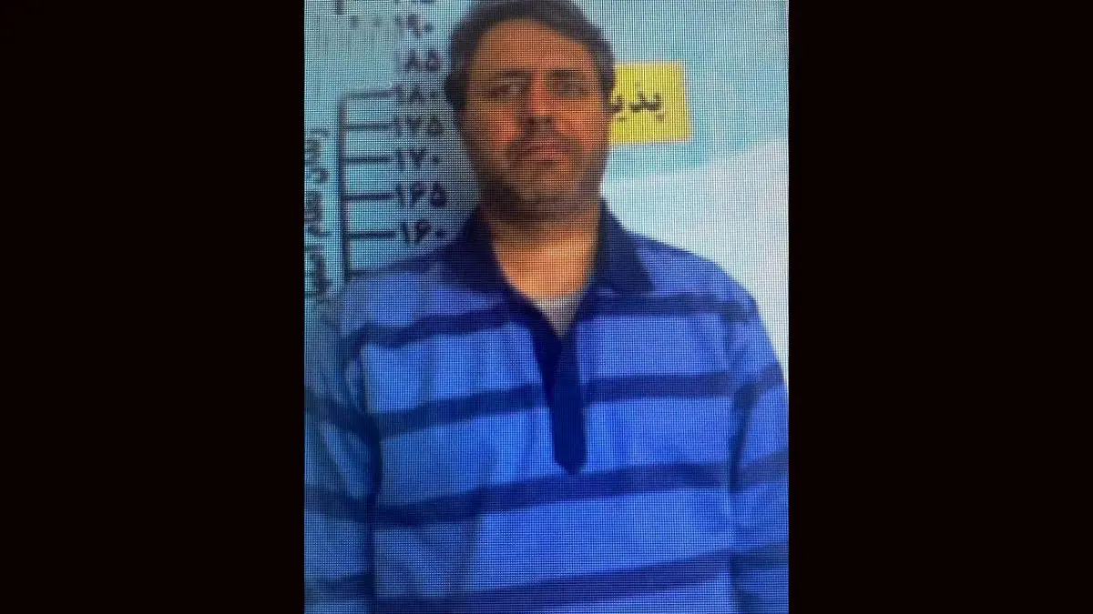 بیوگرافی مجید مسیبی