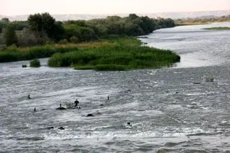 حذف گونه مهاجم ماهی هرز کاراس از دریاچه نئور با استفاده از تور دام