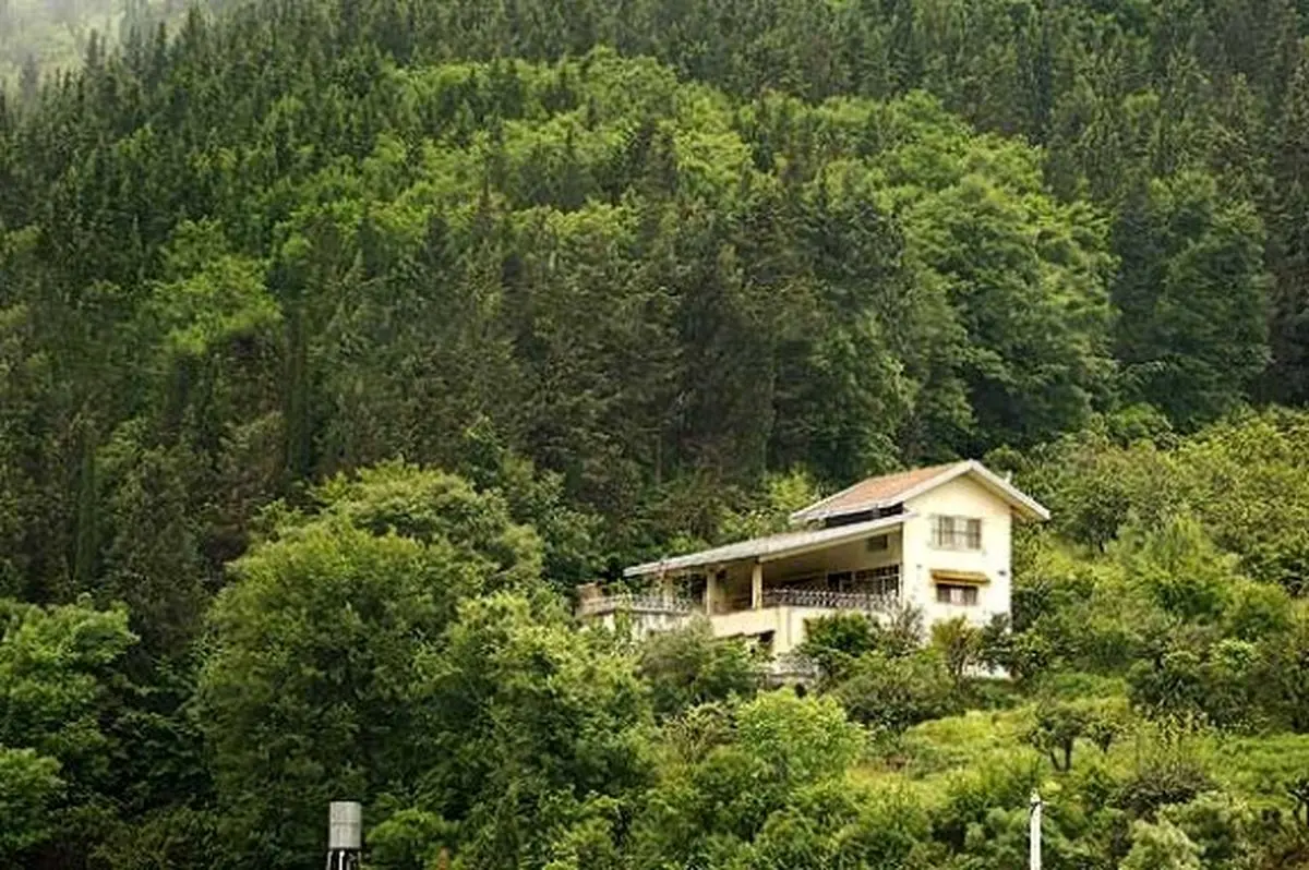میزان اجارهبهای مناطق جنگلی شمال کشور