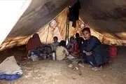 جمعیت افغانستان با ناامنی شدید غذایی مواجه هستند
